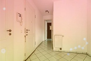 圆通速递600233:价格稳健+客户结构优化一季度盈利表现亮眼